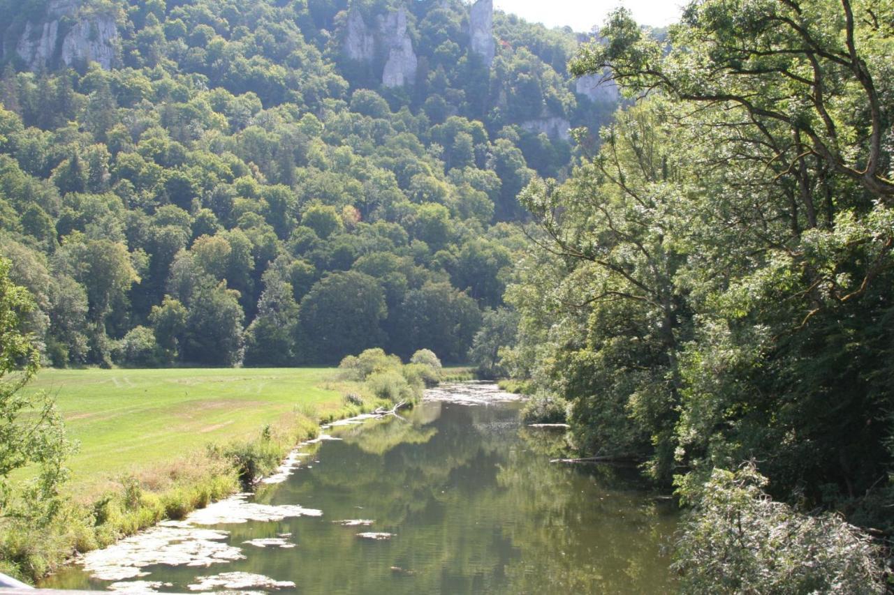 Muhlheim an der Donau Hotel Gaestehaus Theresia Garni المظهر الخارجي الصورة